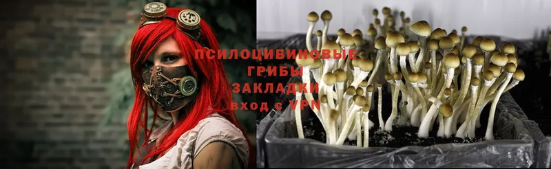 omg ССЫЛКА  Бикин  Галлюциногенные грибы Psilocybe 